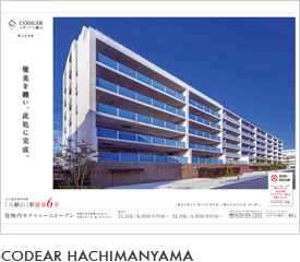 CODEAR HACHIMANYAMA